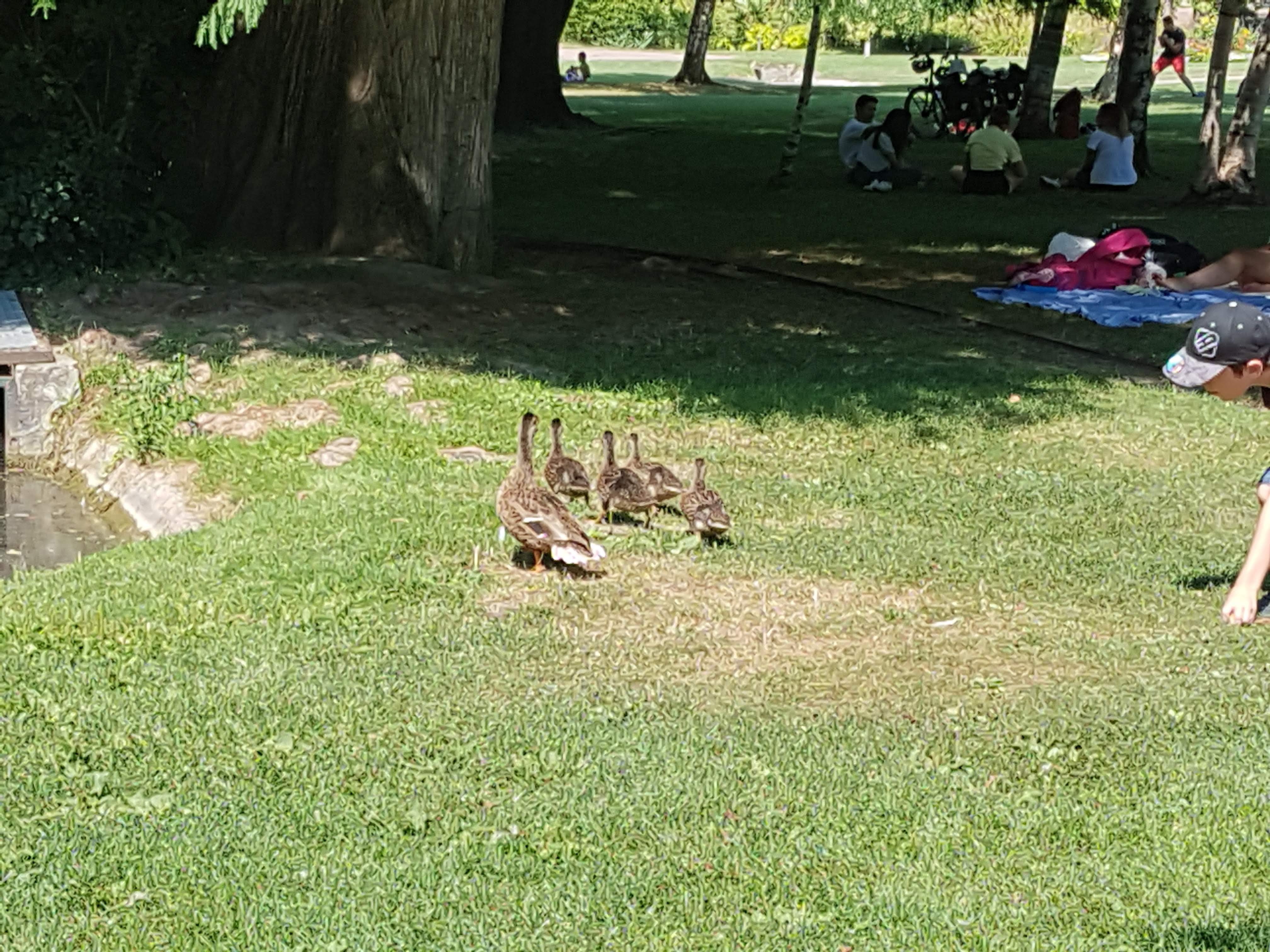 Photo n° 17 de l'avis de Yvette.Y fait le 31/07/2018 à 19:49