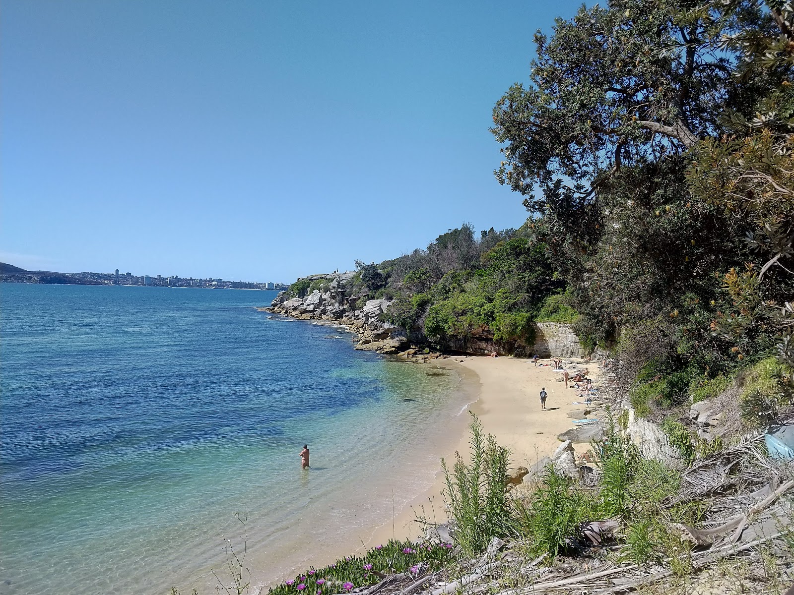 Foto di Lady Bay Beach con una superficie del sabbia beige