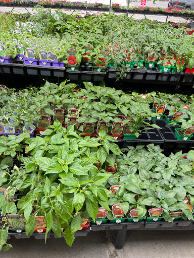 Hardware Store «Westlake Ace Hardware», reviews and photos, 10130 E State Rte 350, Raytown, MO 64138, USA