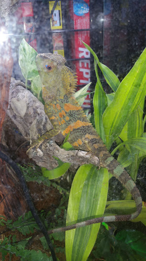 Pet Store «A Family Pet Center», reviews and photos, 6230 N Lockwood Ridge Rd, Sarasota, FL 34243, USA