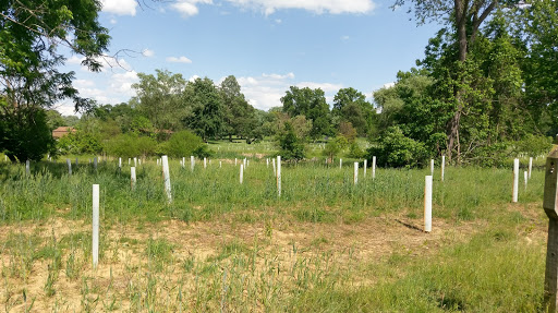 Disc Golf Course «Arboretum-Spiker Disc Golf Course», reviews and photos, 3220 38th St NW, Canton, OH 44718, USA