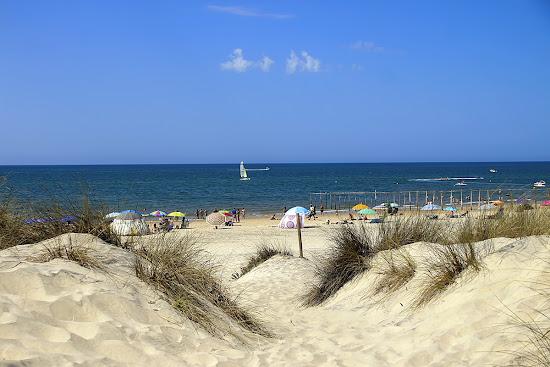 Playa del Coto