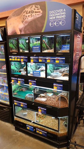 Pet Supply Store «PetSmart», reviews and photos, 601 Centerview Blvd, Kissimmee, FL 34741, USA