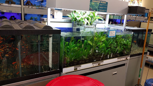 Pet Supply Store «Petco Animal Supplies», reviews and photos, 43465 Ford Rd, Canton, MI 48187, USA