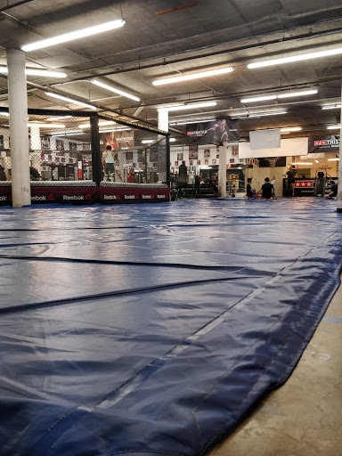 Gimnasios artes marciales Montreal