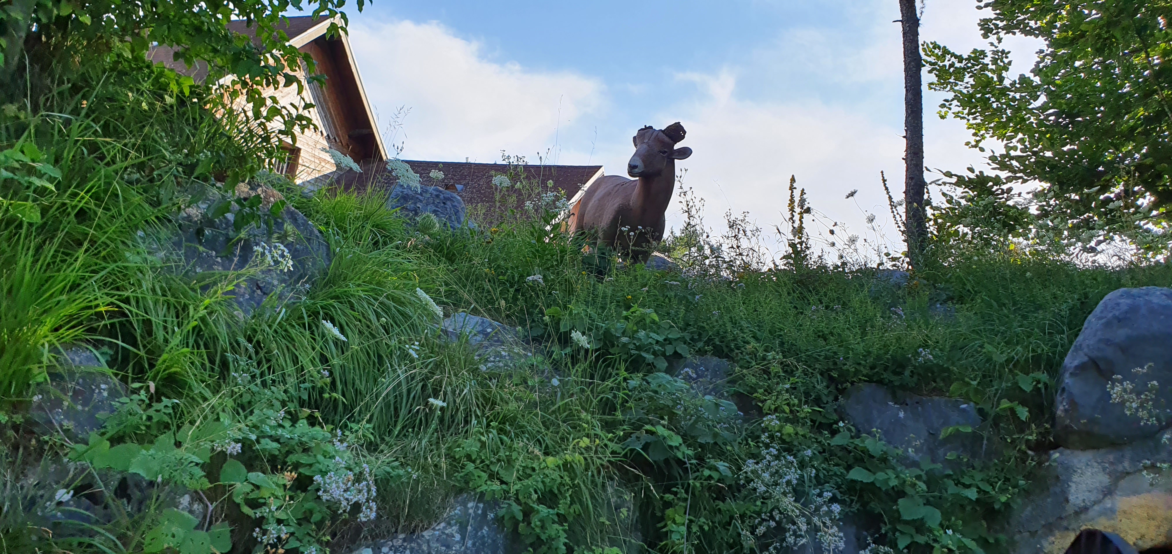 Photo n° 11 de l'avis de Alain.R fait le 30/08/2021 à 21:58