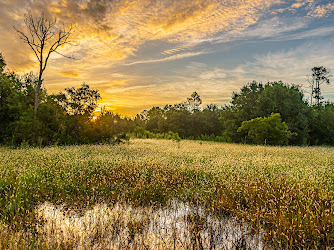 Prairie Pines Preserve