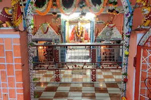 Sheetla Mata Mandir image