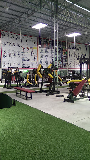 Af1qipnkmoc4lrlat M Mr9uliz4ih Wjkvjw8m3fq60