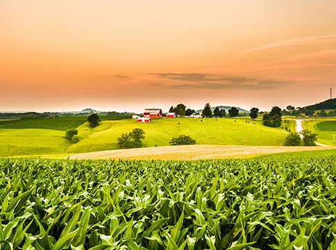 McBane Farm & Fertilizer