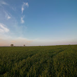 Photo n°6 de l'avis de Patrizia.u fait le 02/07/2017 à 00:37 sur le  Garden Restaurant Colour Café à Vitorchiano
