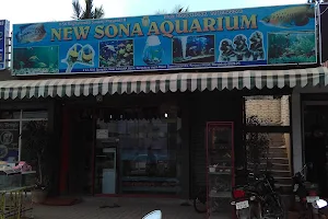New Sona Aquarium image