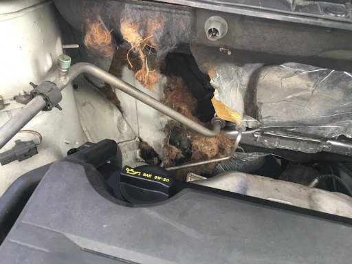 Tire Shop «Firestone Complete Auto Care», reviews and photos, 106 N Dixie Hwy, Hollywood, FL 33020, USA