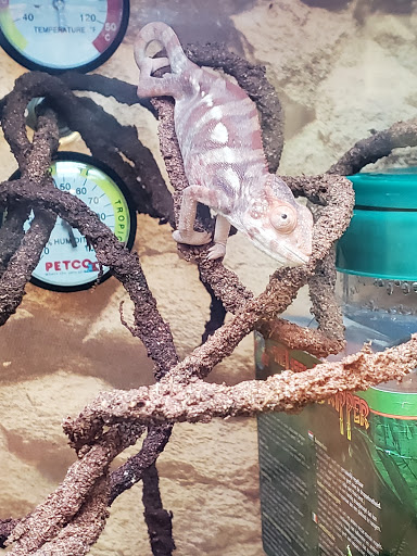 Pet Supply Store «Petco Animal Supplies», reviews and photos, 48 Watertower Plaza, Leominster, MA 01453, USA