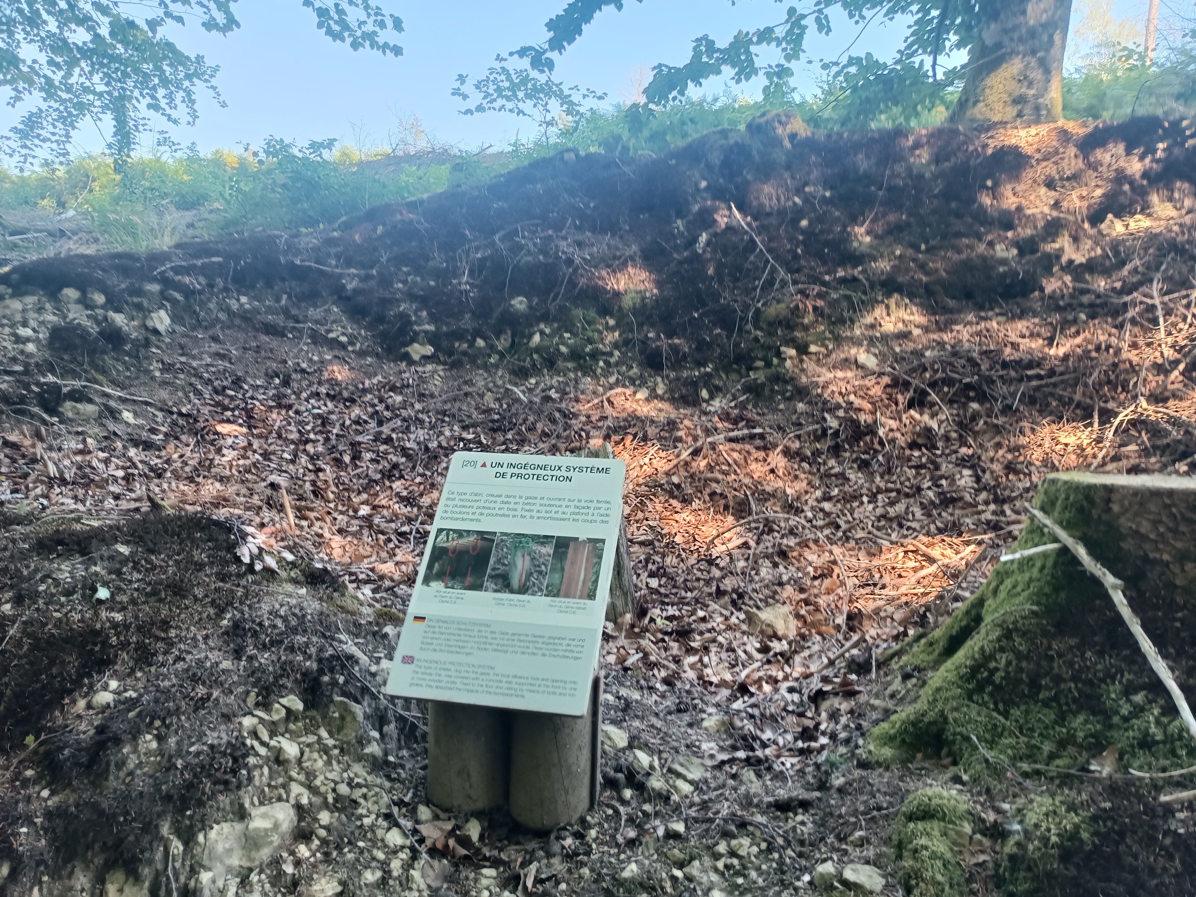 Photo n° 13 de l'avis de Céline.a fait le 12/08/2022 à 14:58