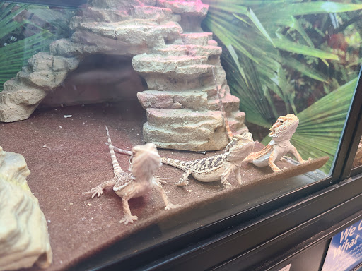 Pet Supply Store «PetSmart», reviews and photos, 5241 Monroe St, Toledo, OH 43623, USA