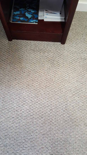 Curlys Carpet repair, 1255 Comox St, Vancouver, BC V6E 1K6