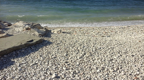 Stara Fazana beach