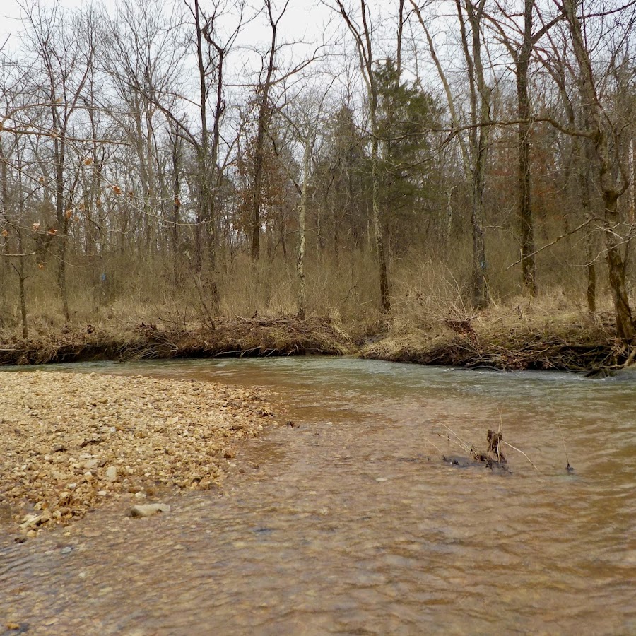 Blue Springs Creek Conservation Area