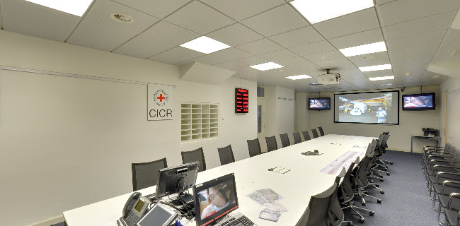 cicv.org.br