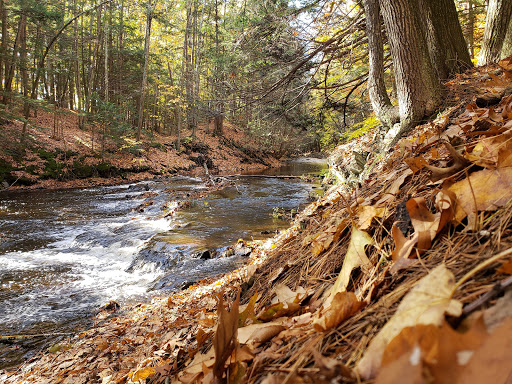 Disc Golf Course «Bellamy Park Disc Golf», reviews and photos, Bellamy Rd, Dover, NH 03820, USA
