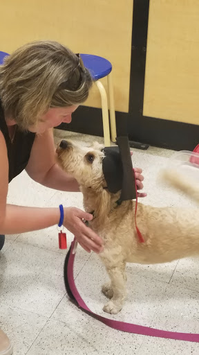 Pet Supply Store «PetSmart», reviews and photos, 3370 Shoppers Dr, McHenry, IL 60050, USA