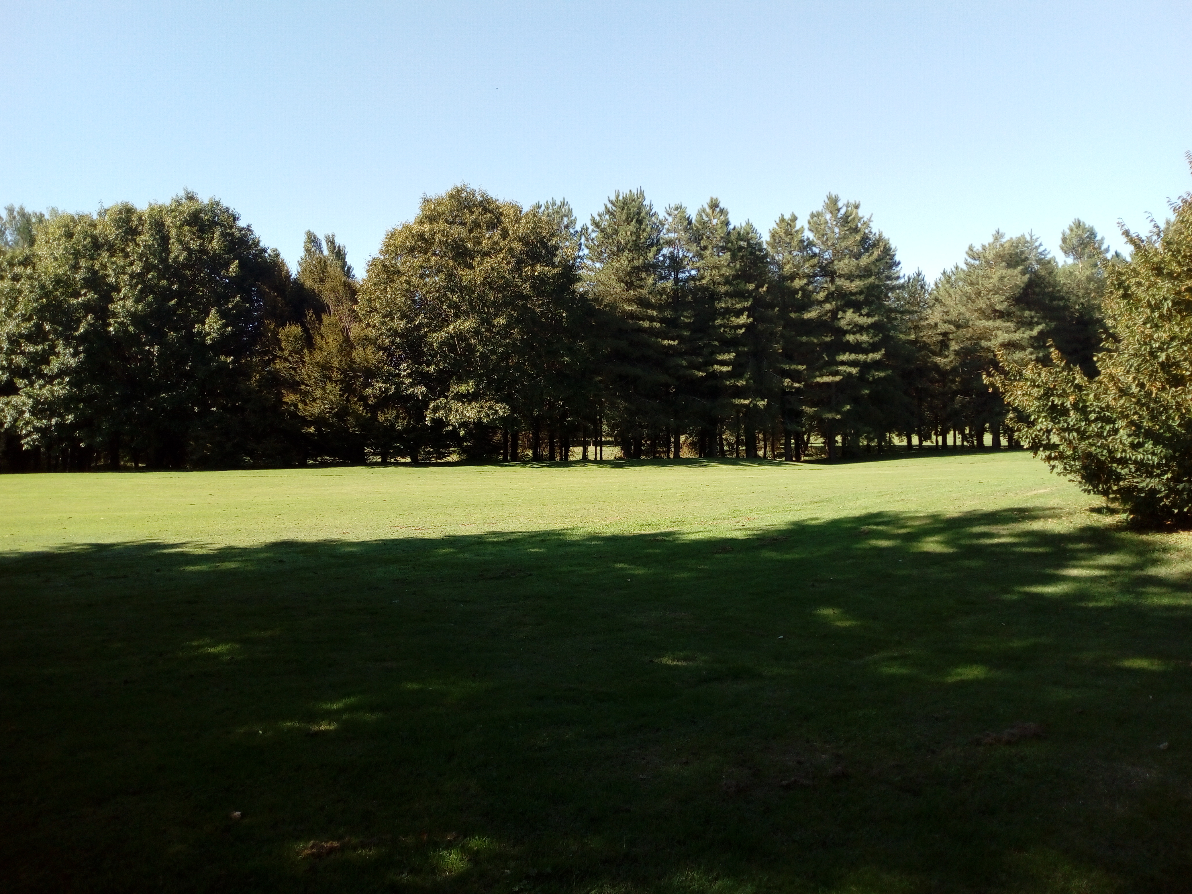 Photo n° 17 de l'avis de Delbart.e fait le 29/09/2019 à 12:17