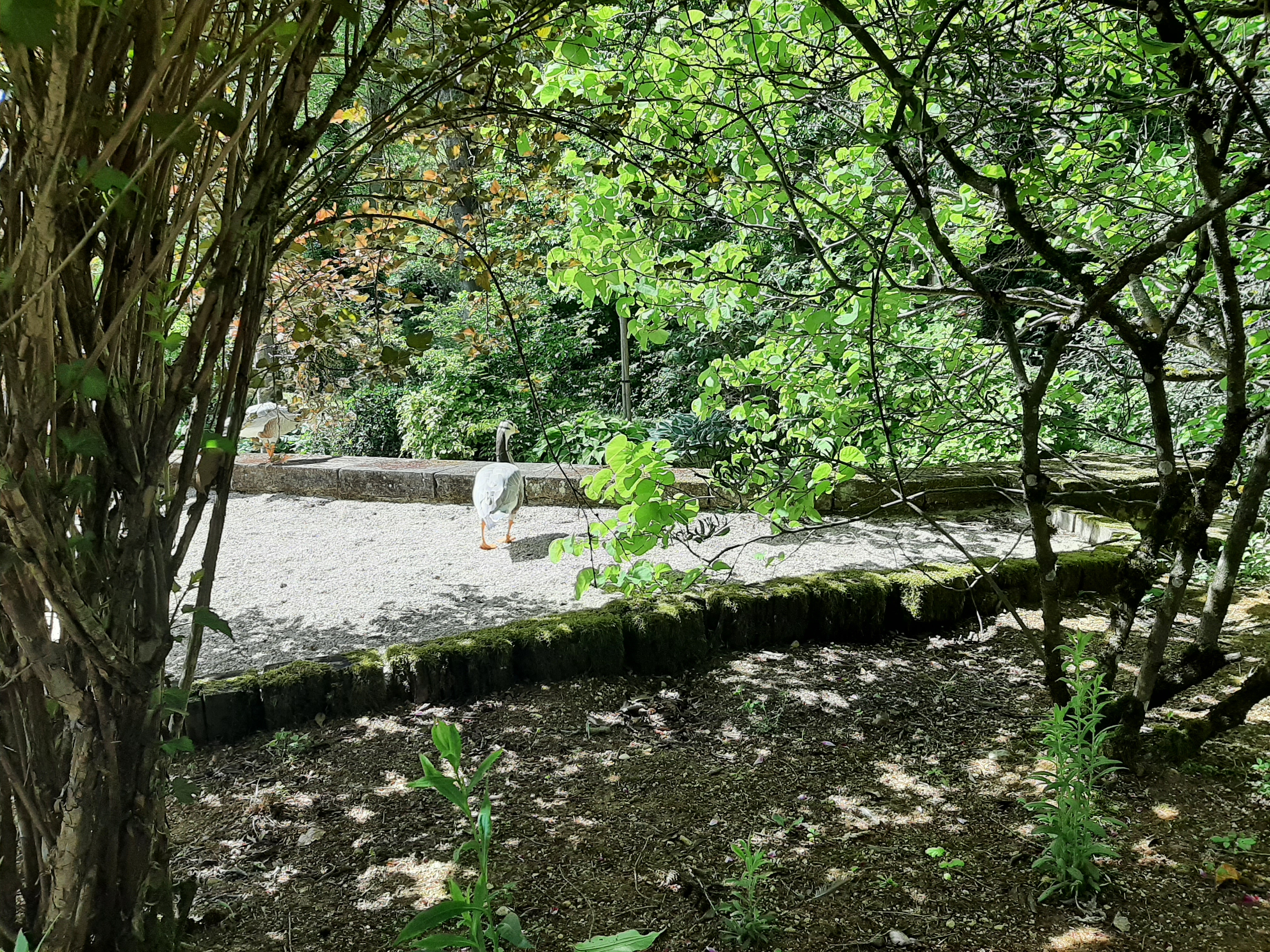 Photo n° 38 de l'avis de Benjamin.O fait le 29/05/2022 à 15:32