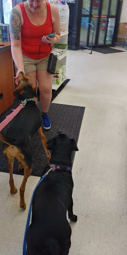 Pet Supply Store «Pet Life | Supplies, Services & Knowledge», reviews and photos, 93 Main St, Stoneham, MA 02180, USA