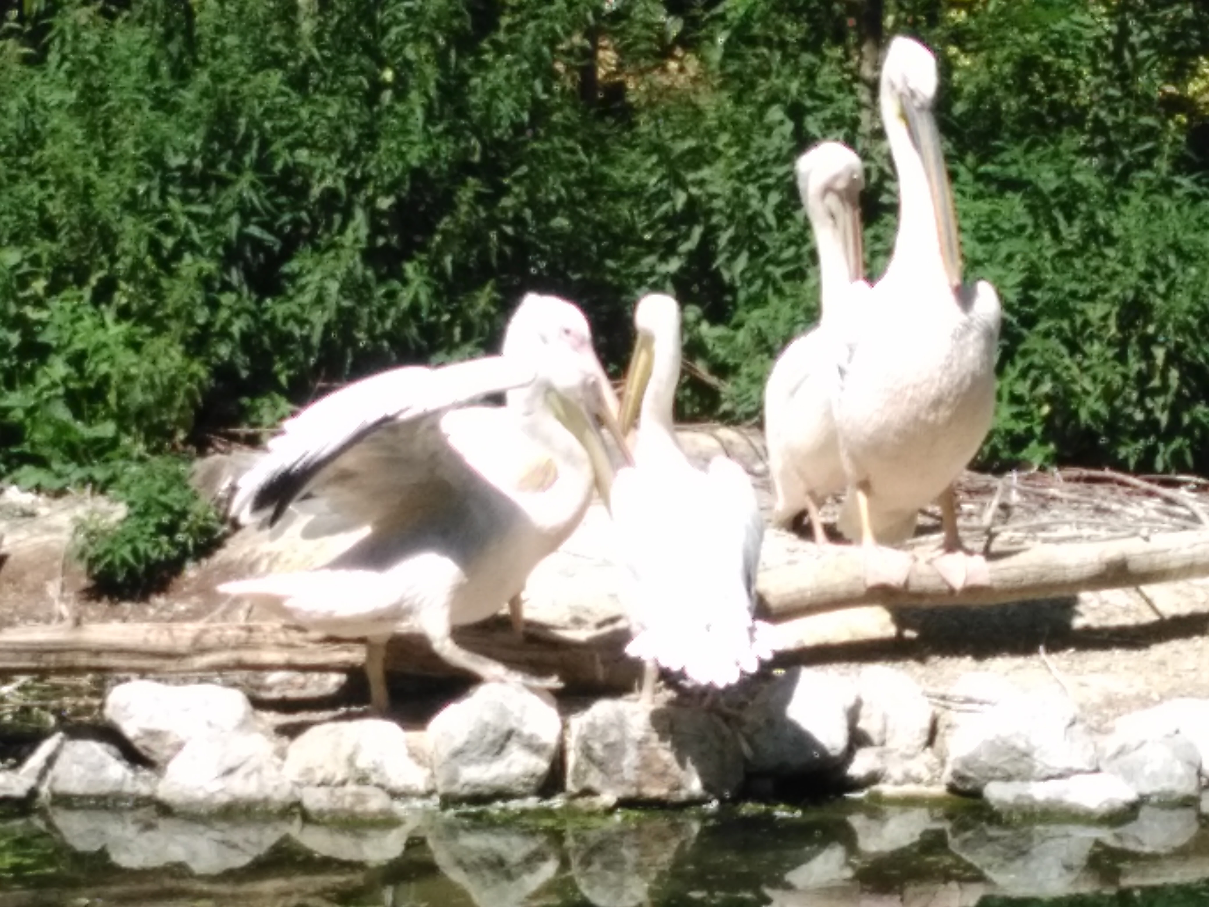 Photo n° 6 de l'avis de Alain.o fait le 26/06/2017 à 12:31