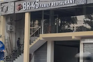 BR 45 Family Restaurant (Bhabua) image
