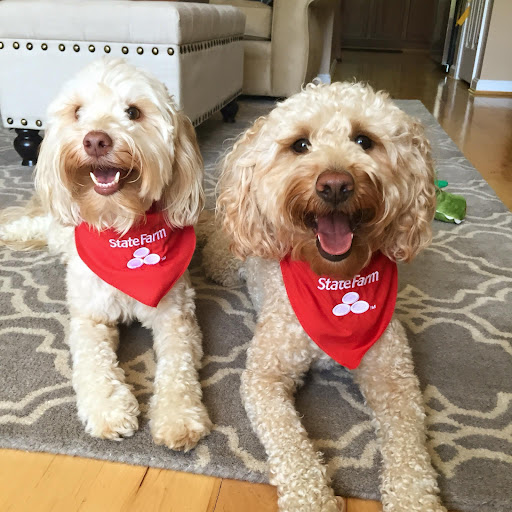 Insurance Agency «State Farm: Allison Hornback», reviews and photos