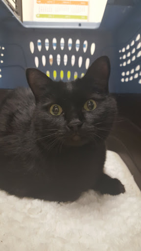 Pet Supply Store «PetSmart», reviews and photos, 4500 Mitchellville Rd, Bowie, MD 20716, USA