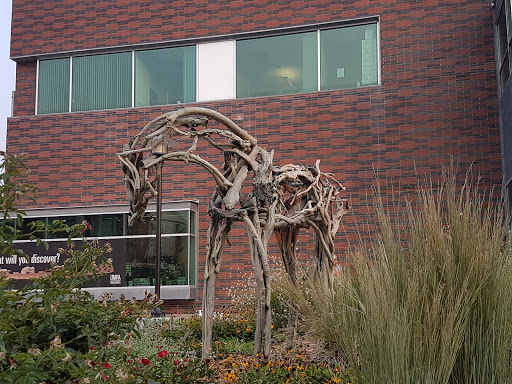 Art Museum «Utah Museum of Fine Arts», reviews and photos, 410 Campus Center Dr, Salt Lake City, UT 84112, USA