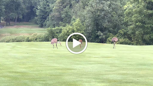 Golf Club «Blackheath Golf Club», reviews and photos, 3311 N Rochester Rd, Rochester, MI 48306, USA