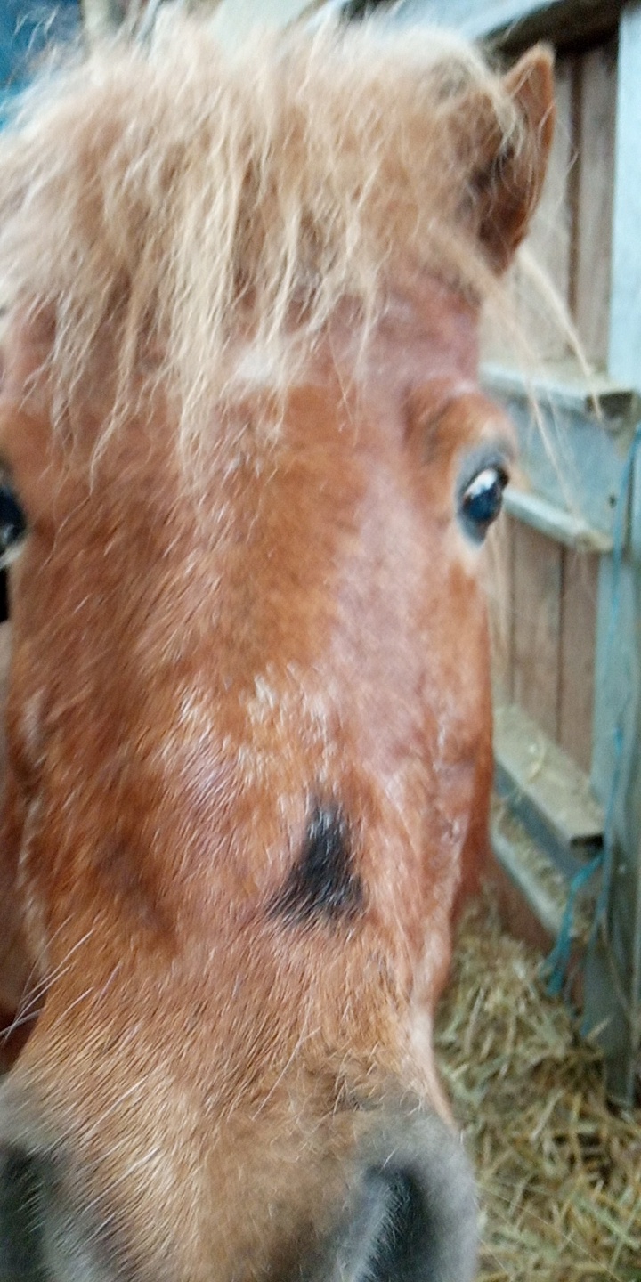 Photo n° 16 de l'avis de Cavalière.' fait le 30/06/2019 à 18:26