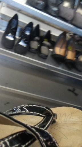 Thrift Store «Red White & Blue Thrift Store», reviews and photos, 12640 NE 6th Ave, Miami, FL 33161, USA