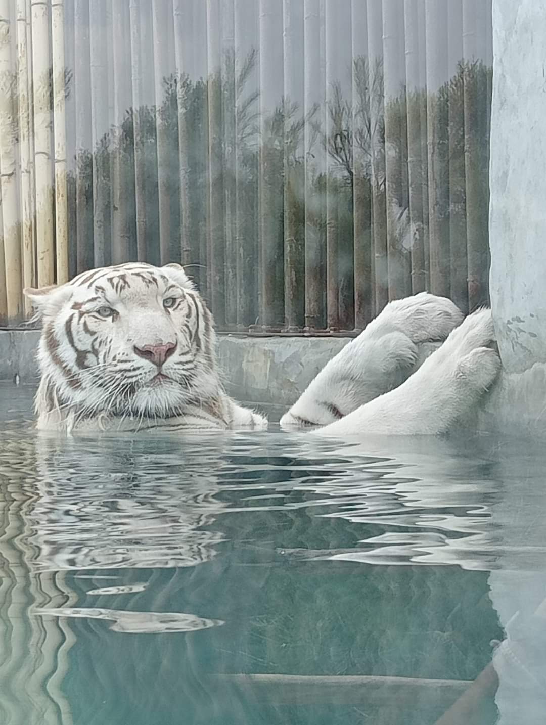 Photo n° 1 de l'avis de sebastien.e fait le 19/07/2023 à 21:10