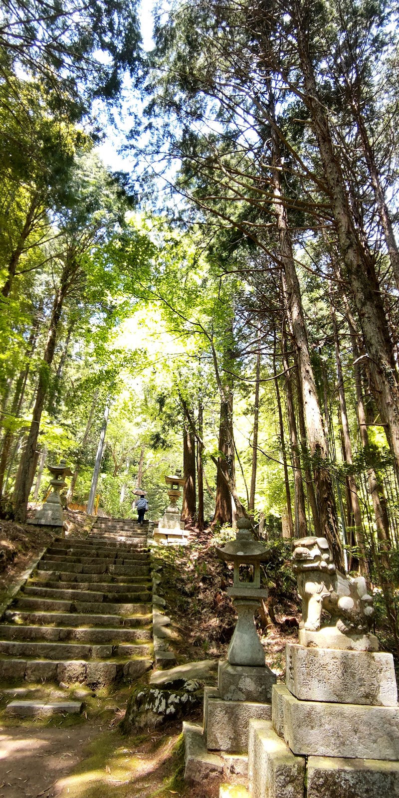 金刀比羅神社 鳥居