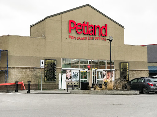 Exotic animal shops in Calgary