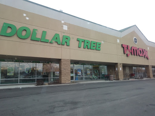 Dollar Tree