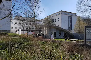 Universitätsklinikum Essen Klinik und Poliklinik für Urologie image