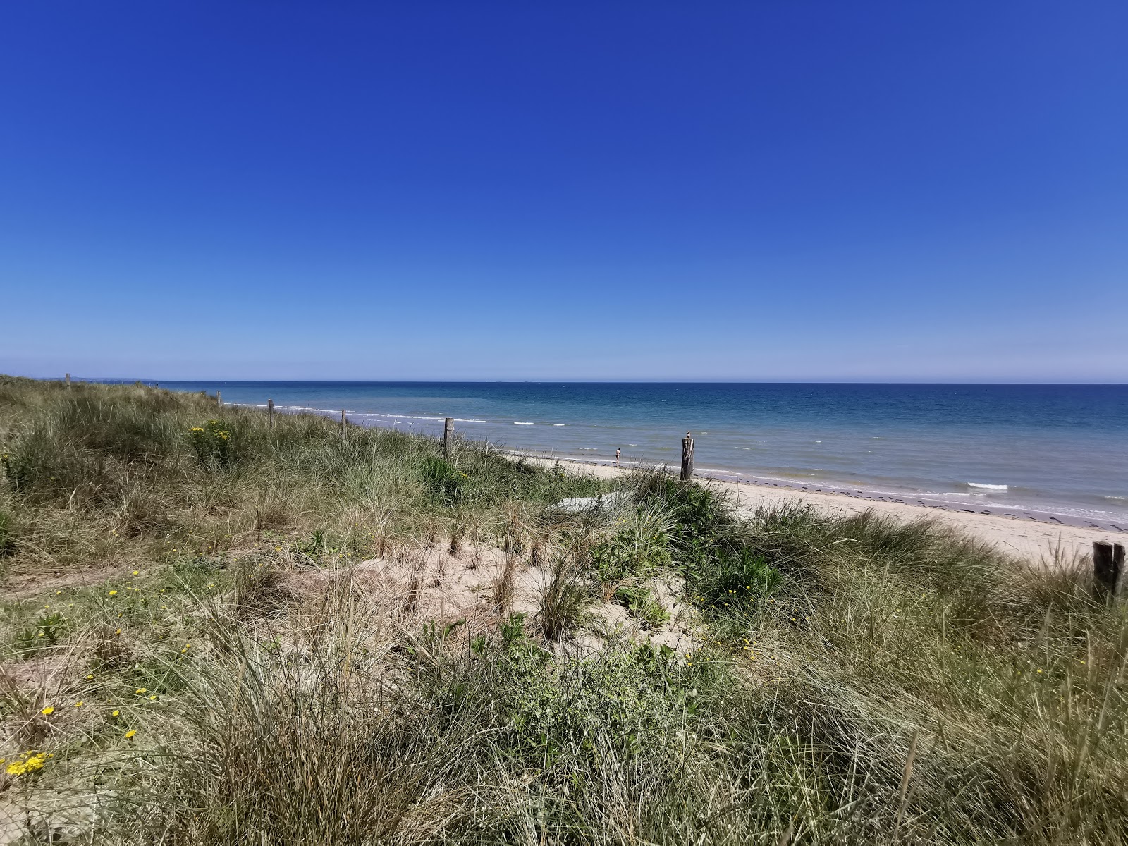 Utah Beach photo #9