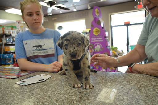 Pet Supply Store «The Natural Pet Enrichment Center», reviews and photos, 6720 Royalton Rd, North Royalton, OH 44133, USA