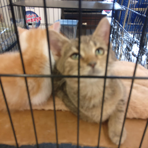 Pet Store «Delhi Pet Center», reviews and photos, 5665 Rapid Run Rd, Cincinnati, OH 45238, USA