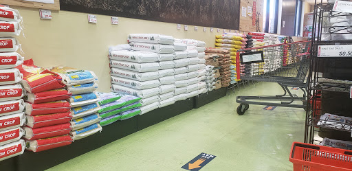 Korean Grocery Store «H Mart», reviews and photos, 2600 Alton Pkwy, Irvine, CA 92606, USA