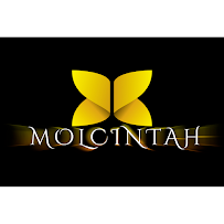 Molcintah Yoga - Photo 6 - Car repair in Downers Grove, IL, Chicago