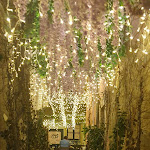 Photo n°6 de l'avis de Rosy. fait le 22/10/2023 à 06:46 sur le  CORTILE BOTA' - Restaurant cocktail bar à Syracuse