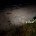 Photo n°4 de l'avis de Andrea.p fait le 30/04/2023 à 20:54 sur le  Ristorante La Ciaccia - Cirotto à Valledoria