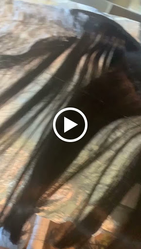 Hair Salon «Glamour Dominican Hair Creations», reviews and photos, 8124 Shore Dr b, Norfolk, VA 23518, USA